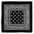 Cowboy Bandana - Black
