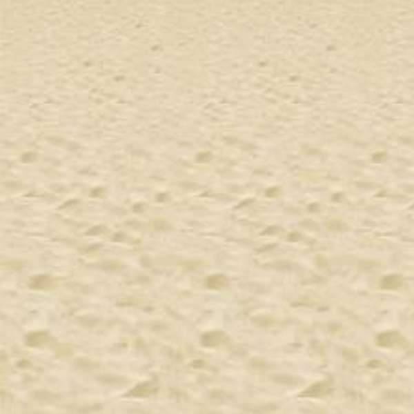 Beach Backdrop Room Roll