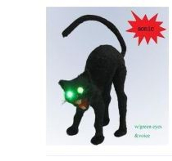 Snarling Cat