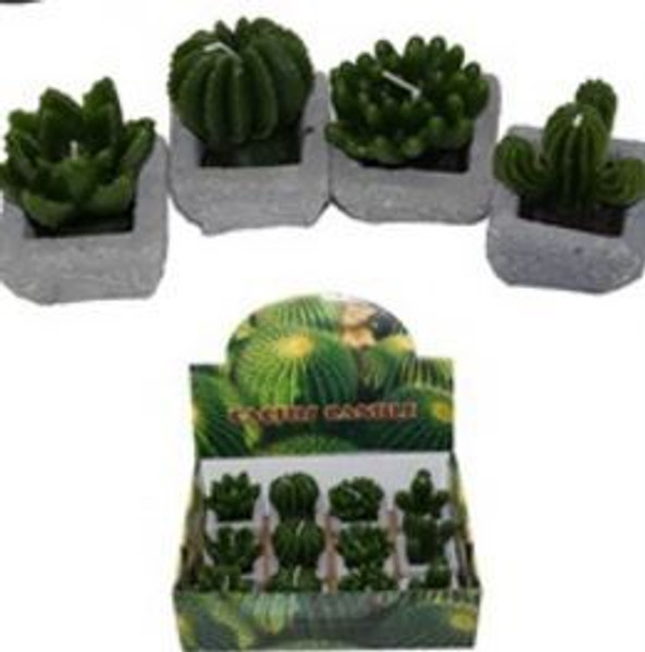 Cactus Candle