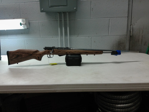 Savage Model 25 .17 Hornet