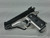 Para Ordinance P13 .45 ACP