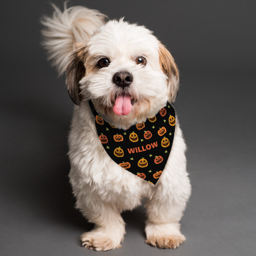 Personalise this super cute bandana to make your 4-legged friend the most fashionable pooch around this Halloween!

Add their name to the of the centre of the pumpkin patch design, with up to 12 characters.

The personalisation will appear in fixed upper case.

The collar features an adjustable buckle and clip with the maximum length of strap being 43cm (suitable for small / medium dogs).

We recommend hand wash only.
100% Polyester

Ideal for Halloween and Pet Lovers