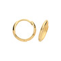 9ct yellow gold 10mm hoop earrings