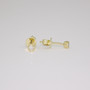 9ct gold rubover-set diamond stud earrings side