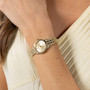 Ladies' BOSS Graceful Mina Gold IP Watch 1502843 model