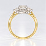 18ct gold and platinum ring with a GIA certificated oval cut diamond and two round brilliant cut diamonds profile