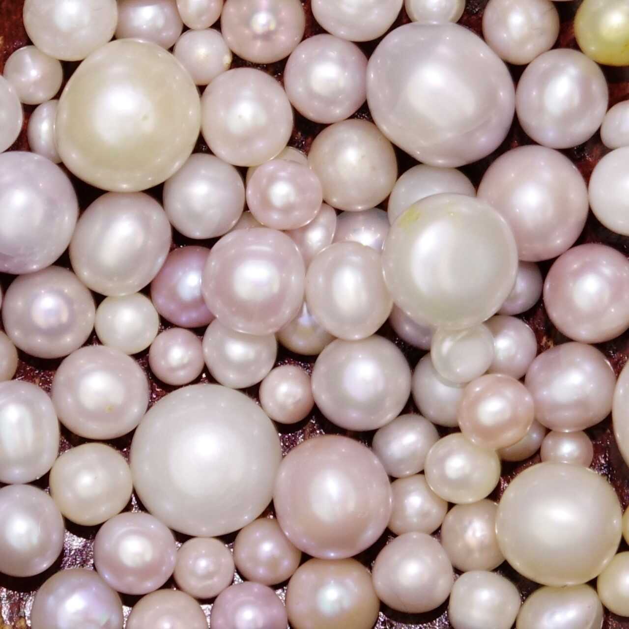 Scottish Freshwater Pearls