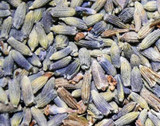 Organic Lavender - Wildcrafted - Dr.Sebi Approved - The Cosmic Chef