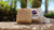 Pre-Spring Immunity Prep Bundle - Effortless Natural Longevity - The Cosmic Chef