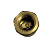 APOLLO VALVES 61-104-01 CHECK VALVE 3/4 FNPT BRONZE BALL-CONE W/.5 PSI SPRING