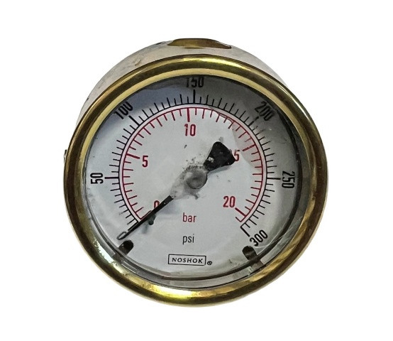 NOSHOK 25-310-300-PSI PRESSURE GAUGE 0-300 PSI/BAR BACK MT 2-1/2 DIAL