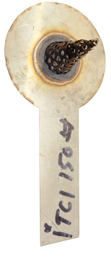 SSI FABRICATED TC1VE1W-A4A CONE STRAINER 1 INCH 304SS