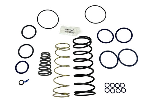 REXROTH R431003973 REPAIR KIT F/8 POSITION CYL