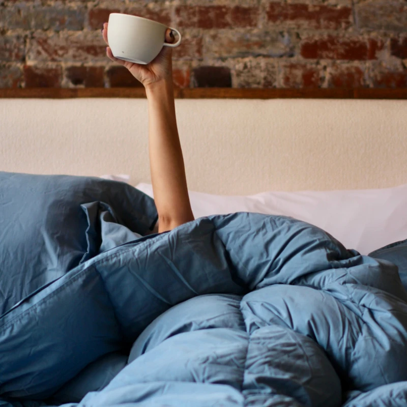 Dupe of Down - Coma Inducer® Oversized Comforter Set - Blue Heaven