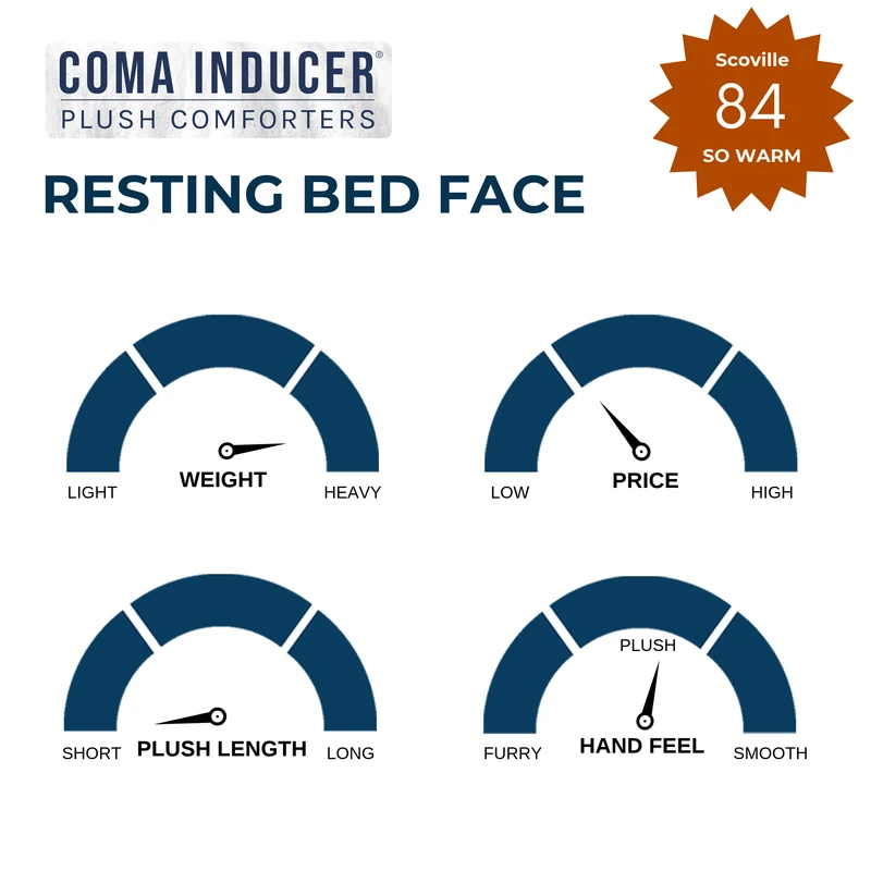 Resting Bed Face - Coma Inducer® Oversized Comforter Set - Cozy Cactus