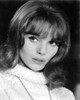 The V.I.P.S Elsa Martinelli 1963 Photo Print - Item # VAREVCMCDVIPSEC008H