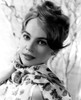 Leslie Caron Circa 1960 Photo Print - Item # VAREVCPBDLECAEC005H