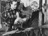 On The Waterfront Photo Print - Item # VAREVCMBDONTHEC280