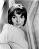 Elsa Martinelli 1962 Photo Print - Item # VAREVCPBDELMAEC014H