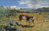 Segantini Giovanni Alp In May 1891 19Th Century Oil On Canvas Italy Veneto Lugo Di Vicenza Vicenza Villa Godi Valmarana Everett CollectionMondadori Portfolio Poster Print - Item # VAREVCMOND031VJ258H