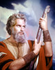 The Ten Commandments Charlton Heston 1956 Photo Print - Item # VAREVCM4DTECOEC001H