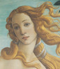 The Birth Of Venus Poster Print - Item # VAREVCMOND025VJ347H