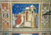 Scenes From The Life Of The Virgin Presentation Of The Virgin In The Temple Poster Print - Item # VAREVCMOND028VJ264H