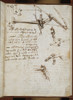 (Leonardo Da Vincis) Codex On The Flight Of Birds Poster Print - Item # VAREVCMOND029VJ562H