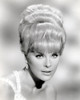 The Oscar Elke Sommer 1966 Photo Print - Item # VAREVCMCDOSCAEC013H