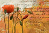 Poppies Composition I Poster Print by Patricia Pinto - Item # VARPDX7090