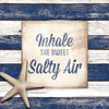 Salty Air Poster Print by Elizabeth Medley - Item # VARPDX9341G