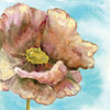 Fresh Poppies I Poster Print by Margaret Ferry - Item # VARPDXMFY114