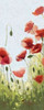 Mountain Poppies II - Wag Poster Print by Shirley Novak - Item # VARPDX4728