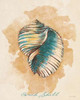 Conch Shell Poster Print by Lanie Loreth - Item # VARPDX8598T