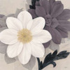 Blossom and Succulent White Poster Print by Ivo Stoyanov - Item # VARPDX545STO1024