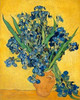 Irises 1890 Poster Print by Vincent Van Gogh - Item # VARPDXV552D
