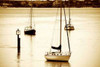 http://c328301.r1.cf1.rackcdn.com/PDXPSHSF355SMALL.jpg
