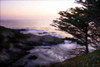 http://c328301.r1.cf1.rackcdn.com/PDXPSHSF226SMALL.jpg