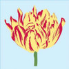 Soho Tulip II Poster Print by Zachary Alexander - Item # VARPDXCC3154