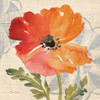 Watercolor Poppies V Poster Print by Pamela Gladding - Item # VARPDXRB8831PG