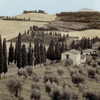 Tuscany - 15 Poster Print by Alan Blaustein - Item # VARPDXABITC2887