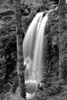 Waterfall I Poster Print by Brian Moore - Item # VARPDXPSMRE128