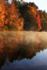 Autumn Mist I Poster Print by Alan Hausenflock - Item # VARPDXPSHSF959