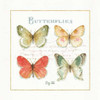 Rainbow Seeds Butterflies III Poster Print by Audit Lisa - Item # VARPDX20440
