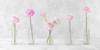 http://c328301.r1.cf1.rackcdn.com/PDXAF20160321132C03LARGE.jpg