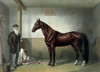 Rysdyks Hambletonian Poster Print by Currier and Ives - Item # VARPDX379467
