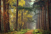 Colors of the Forest Poster Print by Lars Van de Goor - Item # VARPDXV515D