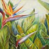 Bird of Paradise II Poster Print by Patricia Pinto - Item # VARPDX9384