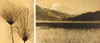 Bolinas Lagoon #7 Poster Print by Jan Gauthier - Item # VARPDXG611D